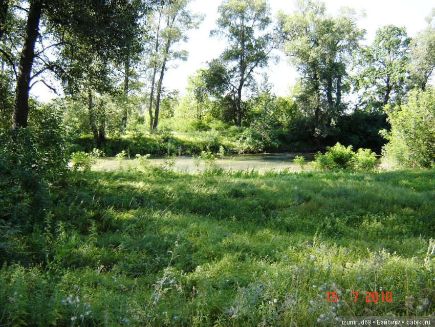 Родная природа. Волго-Ахтубинская пойма. Часть 1