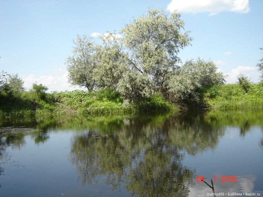 Родная природа. Волго-Ахтубинская пойма. Часть 1