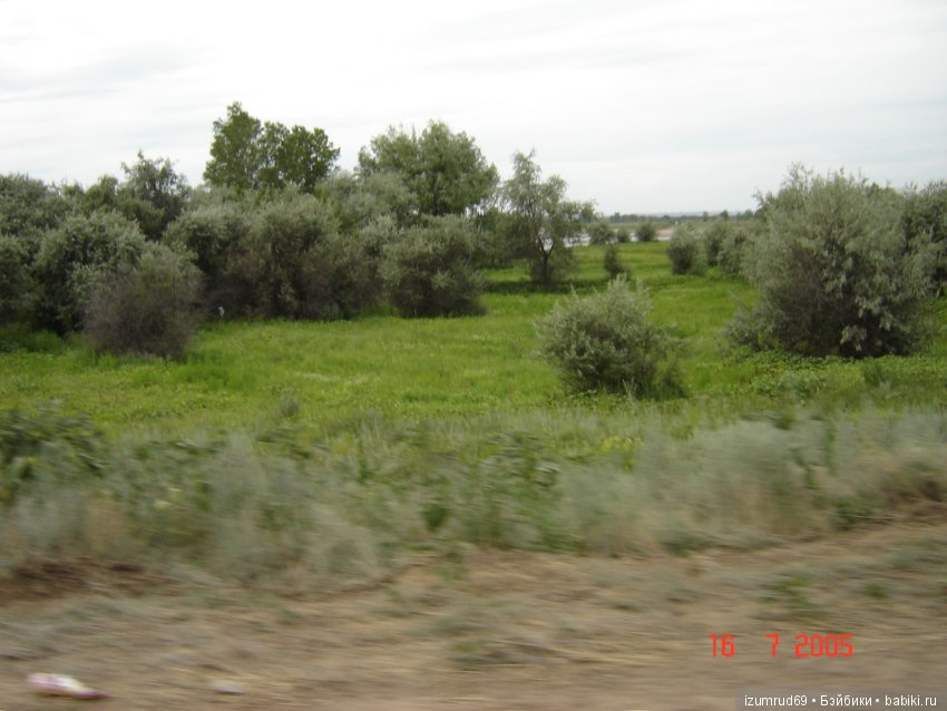 Родная природа. Волго-Ахтубинская пойма. Часть 1 (фото 4)