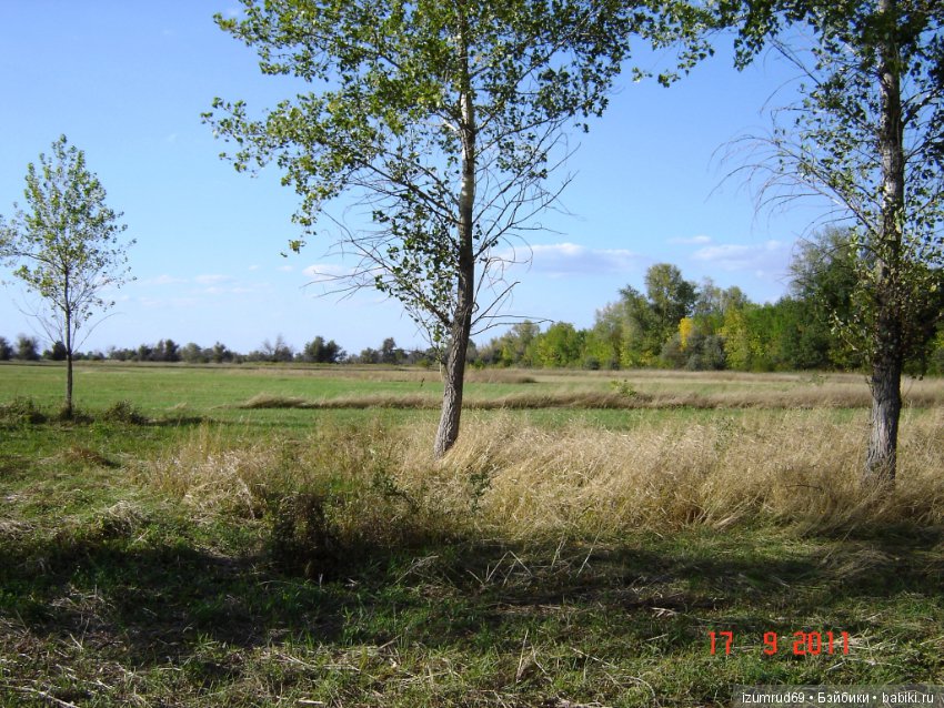 Родная природа. Волго-Ахтубинская пойма. Часть 1