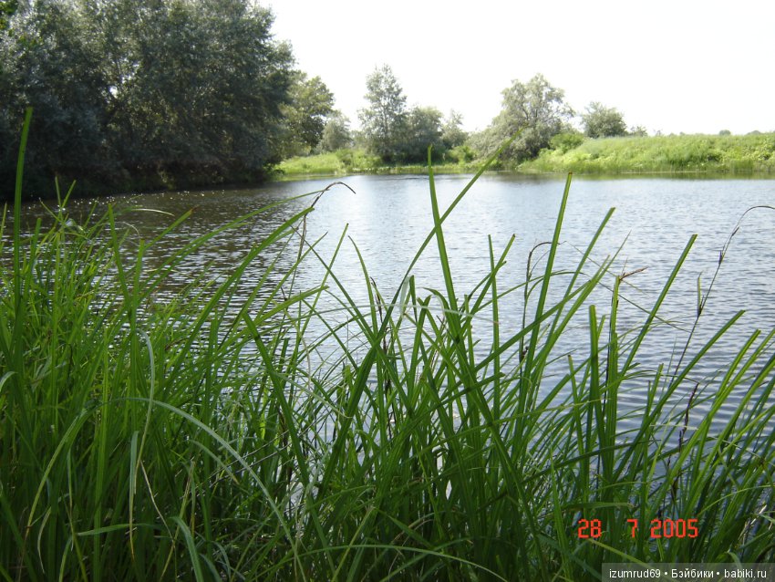 Родная природа. Волго-Ахтубинская пойма. Часть 1