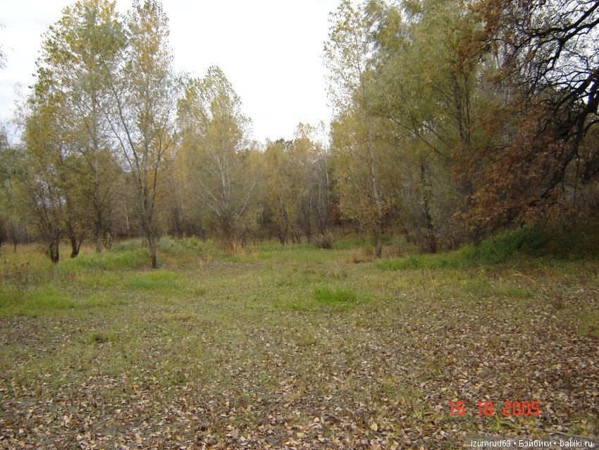 Родная природа. Волго-Ахтубинская пойма. Часть 1