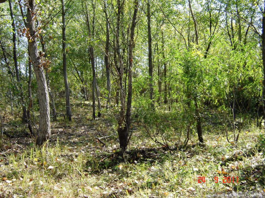 Родная природа. Волго-Ахтубинская пойма. Часть 1