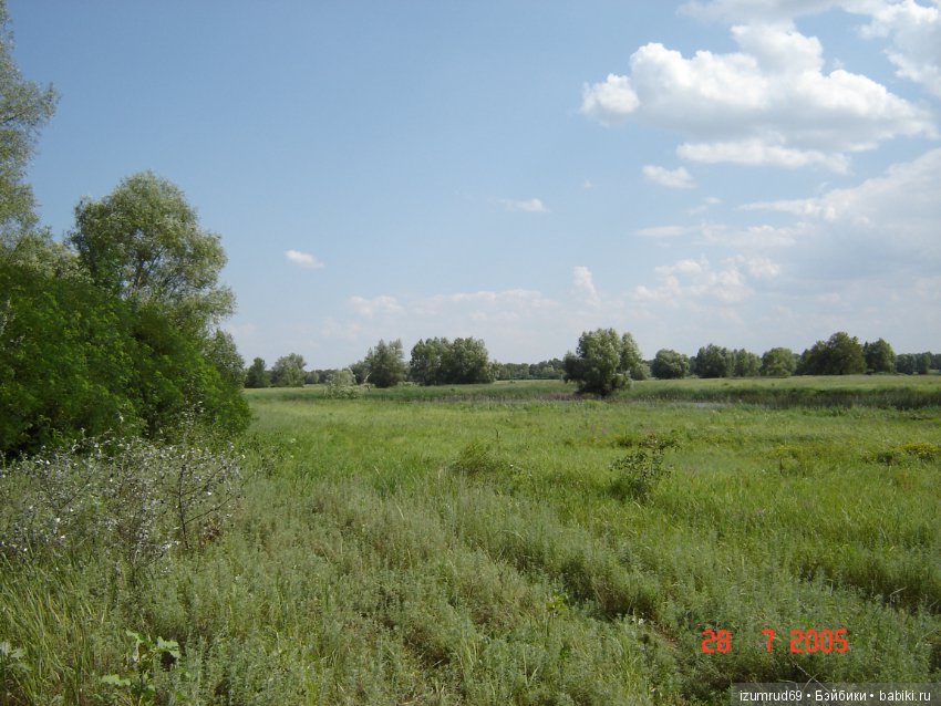 Родная природа. Волго-Ахтубинская пойма. Часть 1