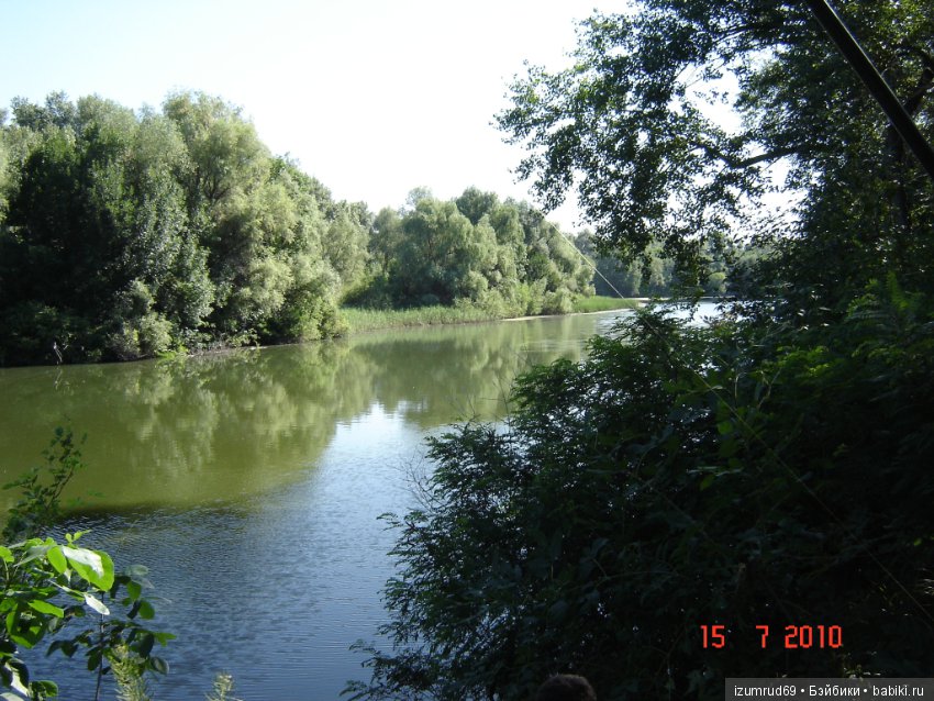 Родная природа. Волго-Ахтубинская пойма. Часть 1