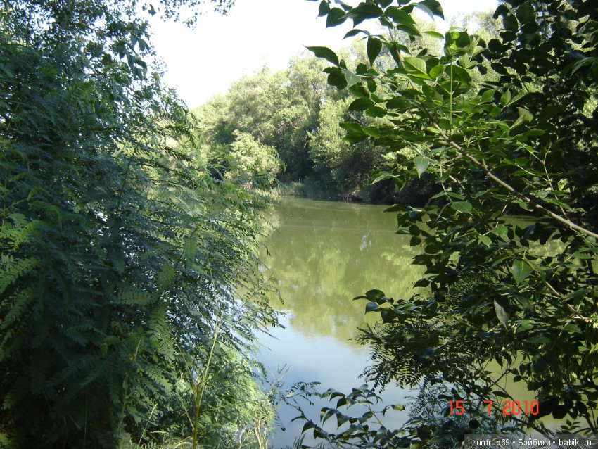 Родная природа. Волго-Ахтубинская пойма. Часть 1