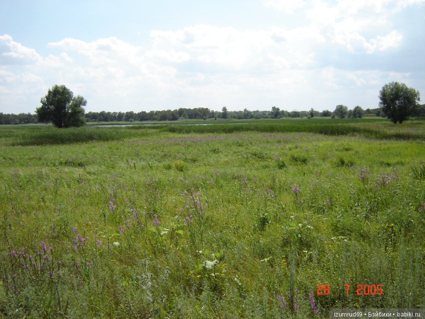 Родная природа. Волго-Ахтубинская пойма. Часть 1 (фото 9)