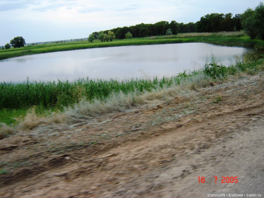 Родная природа. Волго-Ахтубинская пойма. Часть 1