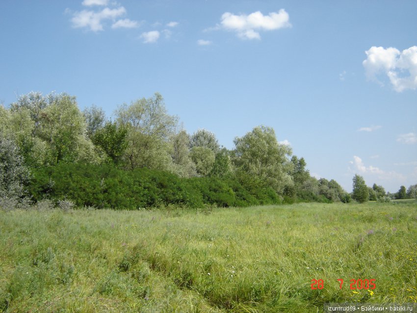 Родная природа. Волго-Ахтубинская пойма. Часть 1