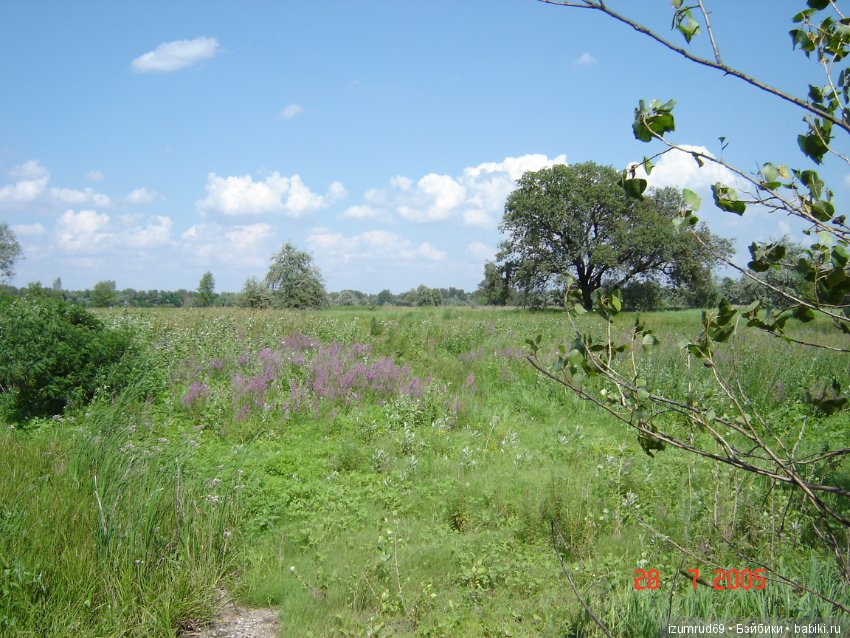 Родная природа. Волго-Ахтубинская пойма. Часть 1