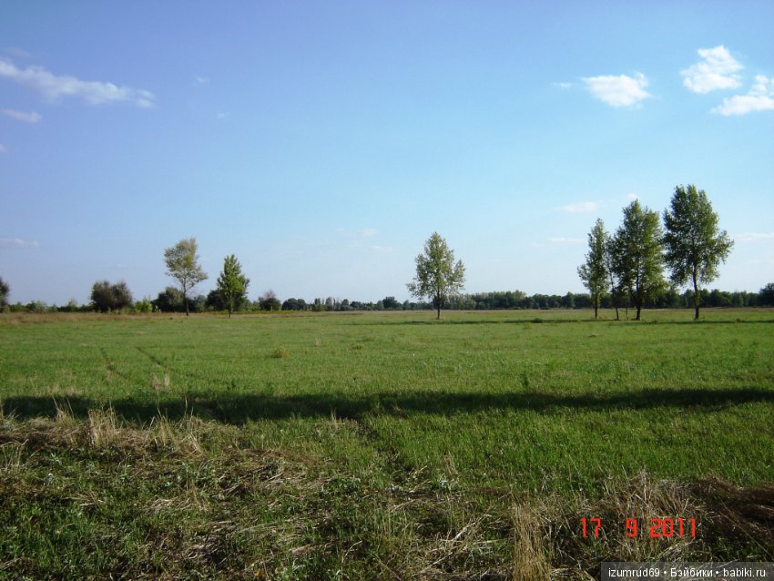 Родная природа. Волго-Ахтубинская пойма. Часть 1