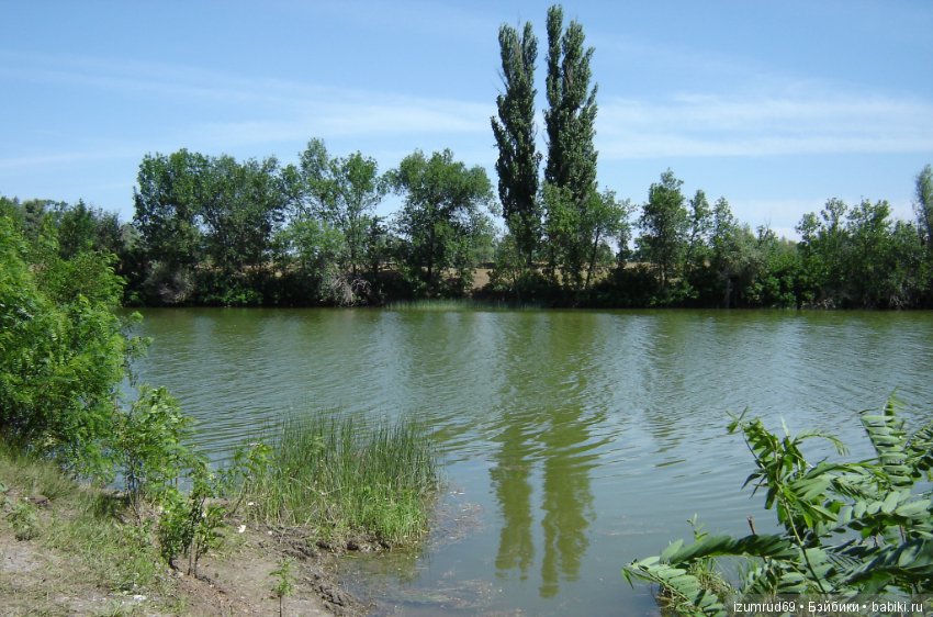 Родная природа. Волго-Ахтубинская пойма. Часть 1