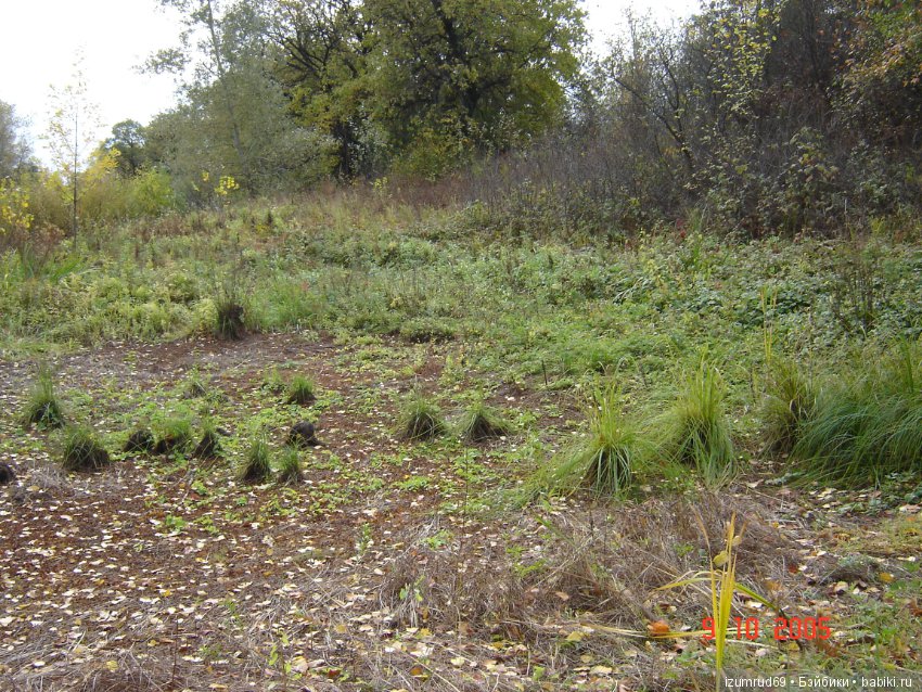 Родная природа. Волго-Ахтубинская пойма. Часть 1