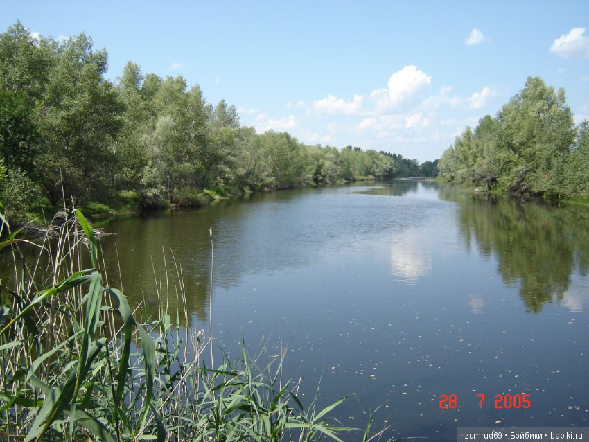 Родная природа. Волго-Ахтубинская пойма. Часть 1 (фото 6)