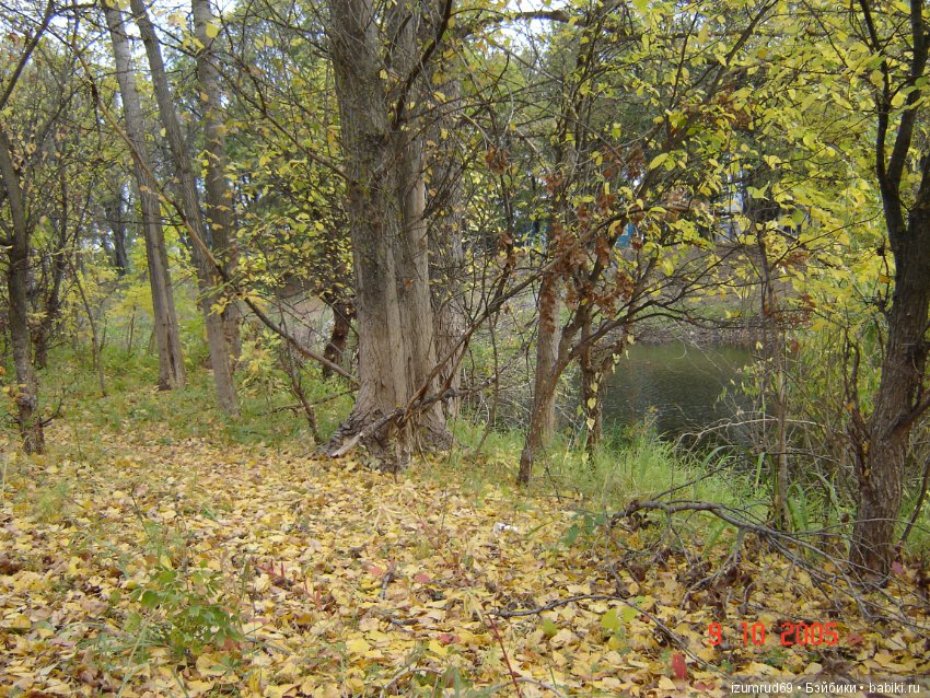 Родная природа. Волго-Ахтубинская пойма. Часть 1