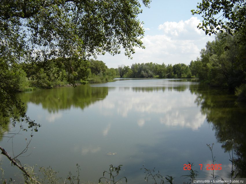 Родная природа. Волго-Ахтубинская пойма. Часть 1 (фото 8)