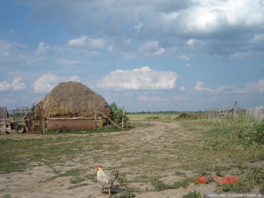 Родная природа. Волго-Ахтубинская пойма. Часть 1