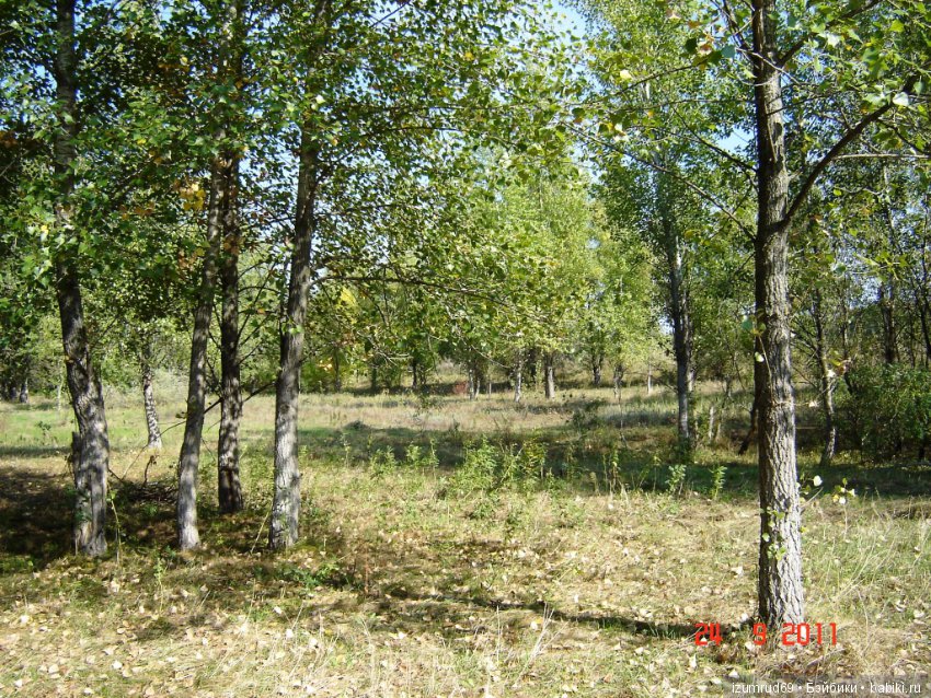 Родная природа. Волго-Ахтубинская пойма. Часть 1