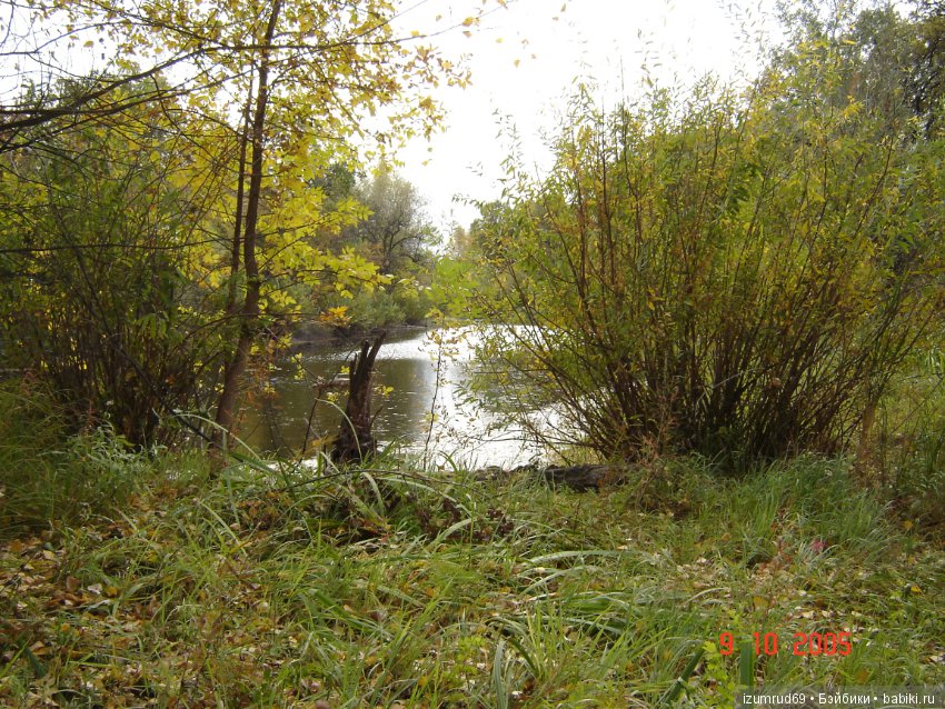 Родная природа. Волго-Ахтубинская пойма. Часть 1