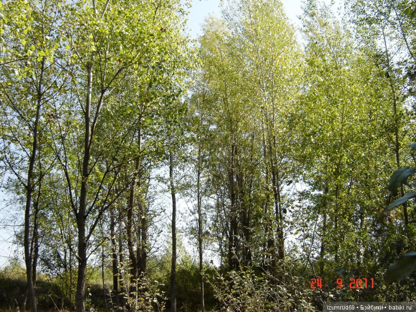 Родная природа. Волго-Ахтубинская пойма. Часть 2 (фото 2)