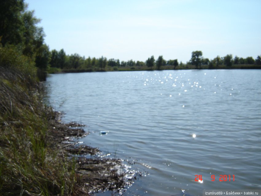 Родная природа. Волго-Ахтубинская пойма. Часть 2 (фото 6)