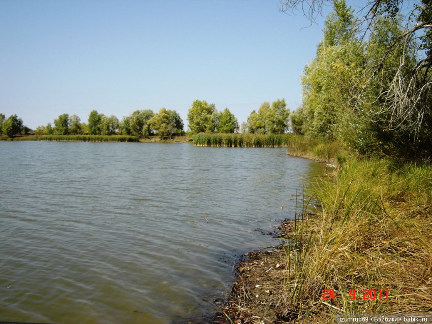 Родная природа. Волго-Ахтубинская пойма. Часть 2 (фото 5)