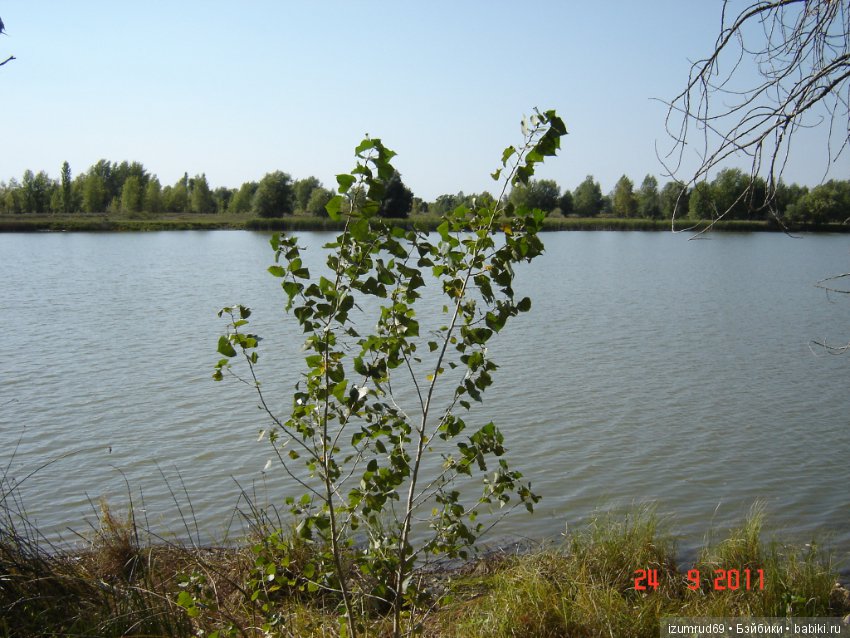 Родная природа. Волго-Ахтубинская пойма. Часть 2 (фото 4)