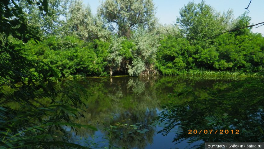 Родная природа. Волго-Ахтубинская пойма. Часть 2