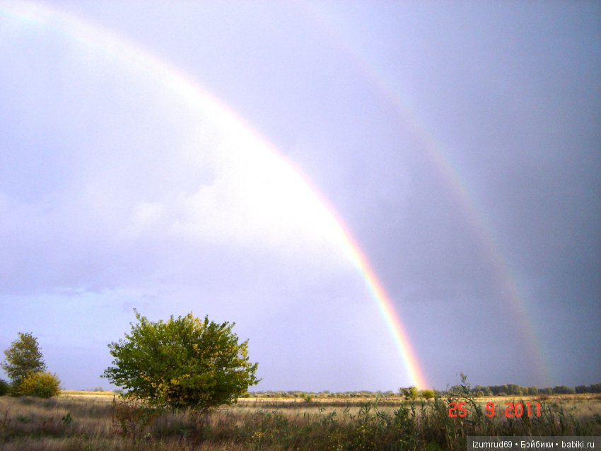 Родная природа. Волго-Ахтубинская пойма. Часть 2