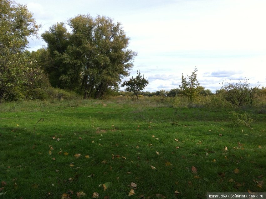 Родная природа. Волго-Ахтубинская пойма. Часть 2