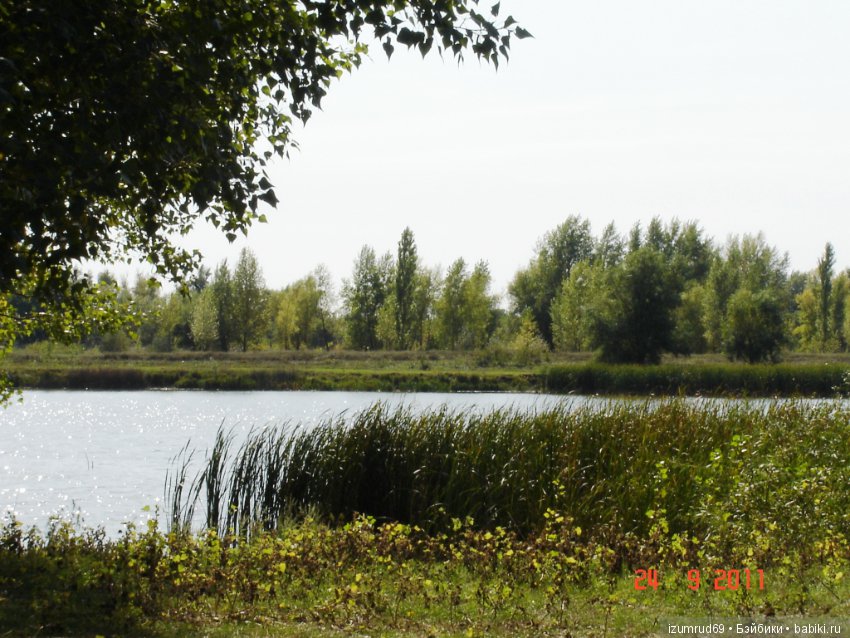 Родная природа. Волго-Ахтубинская пойма. Часть 2 (фото 8)