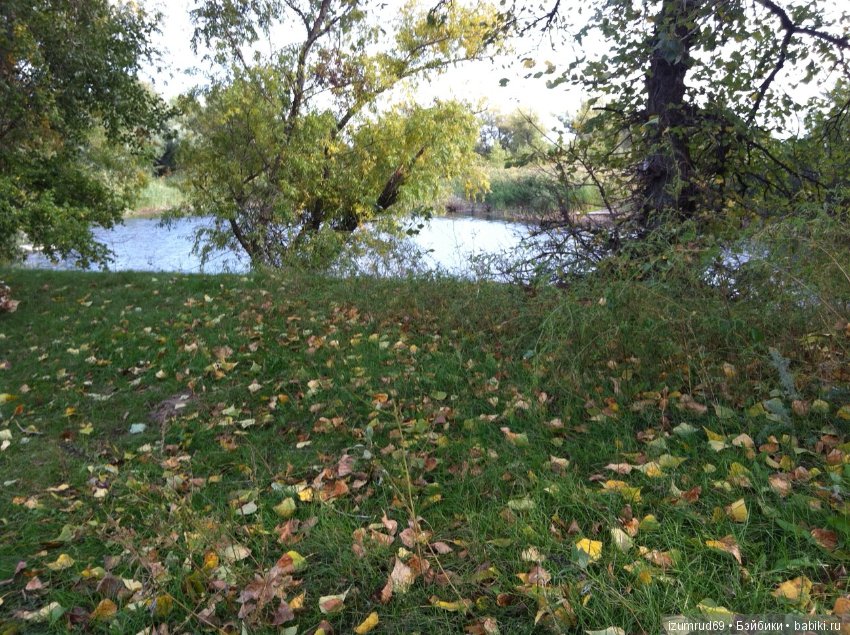 Родная природа. Волго-Ахтубинская пойма. Часть 2