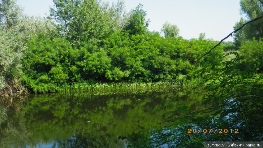 Родная природа. Волго-Ахтубинская пойма. Часть 2