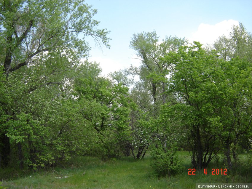 Родная природа. Волго-Ахтубинская пойма. Часть 2