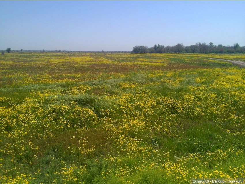 Родная природа. Волго-Ахтубинская пойма. Часть 2