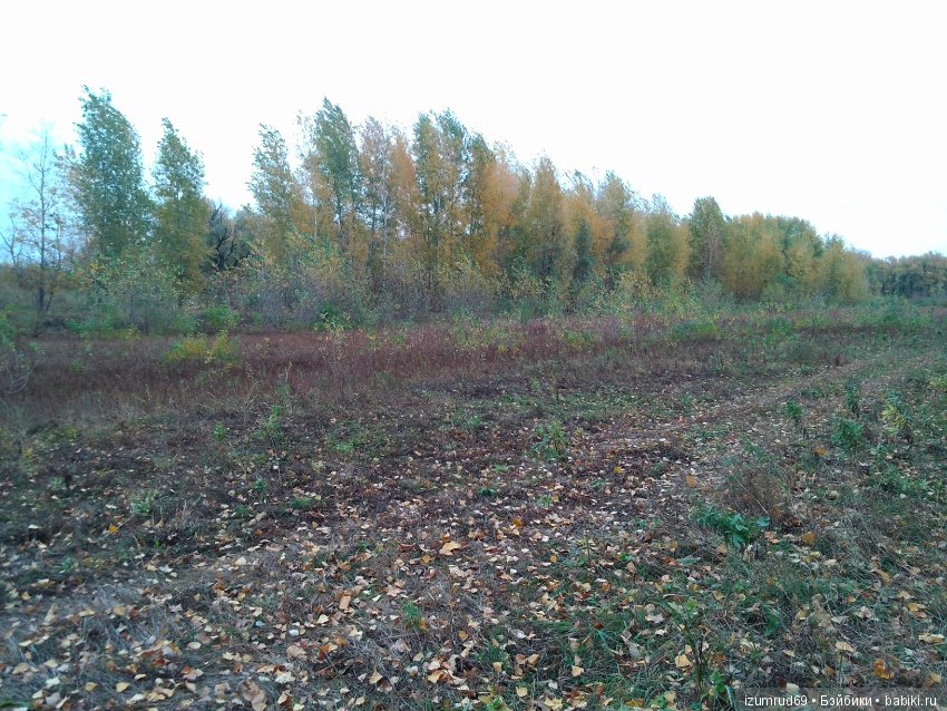 Родная природа. Волго-Ахтубинская пойма. Часть 2