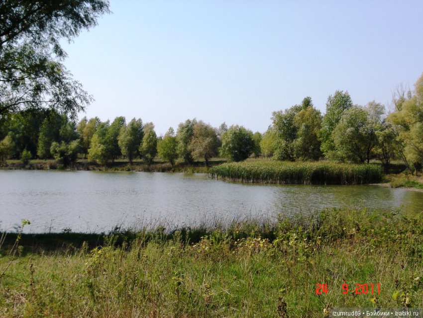 Родная природа. Волго-Ахтубинская пойма. Часть 2 (фото 9)