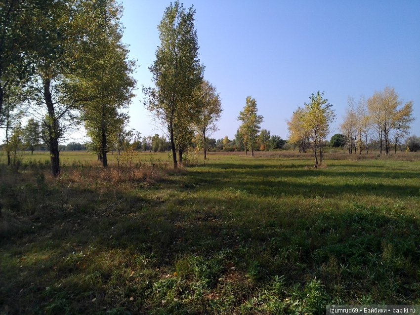 Родная природа. Волго-Ахтубинская пойма. Часть 2