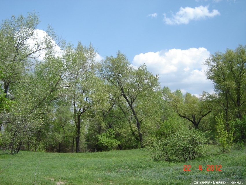 Родная природа. Волго-Ахтубинская пойма. Часть 2