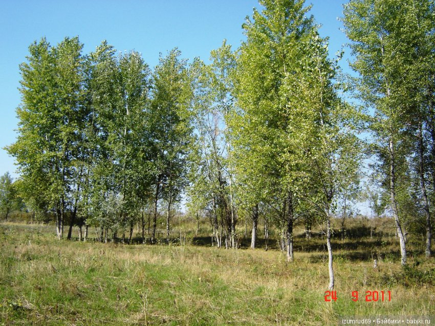 Родная природа. Волго-Ахтубинская пойма. Часть 2 (фото 10)