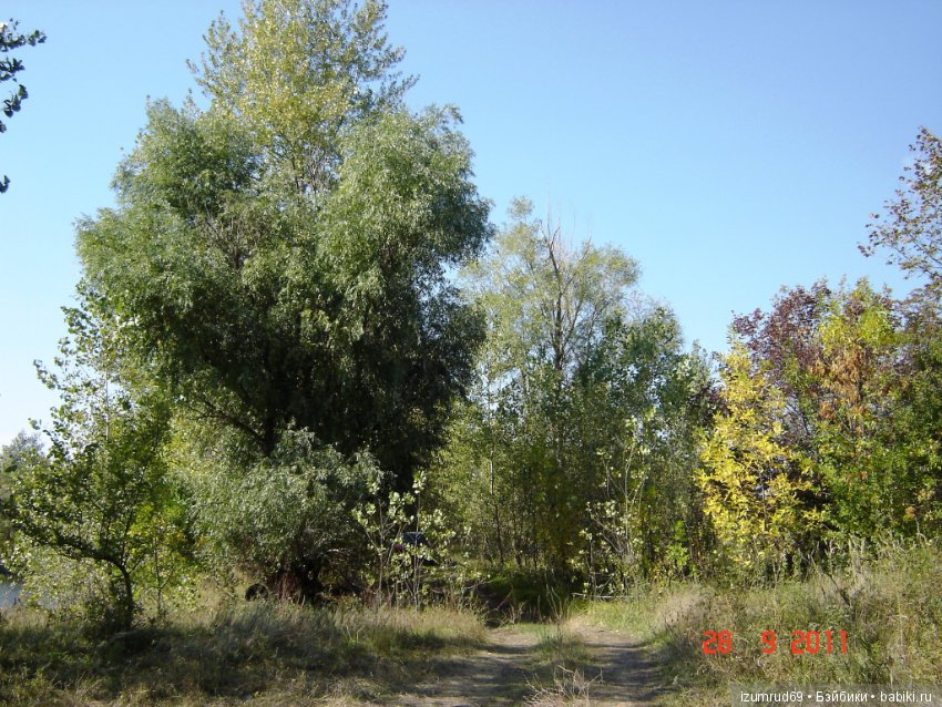 Родная природа. Волго-Ахтубинская пойма. Часть 2