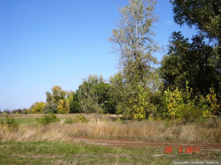 Родная природа. Волго-Ахтубинская пойма. Часть 2