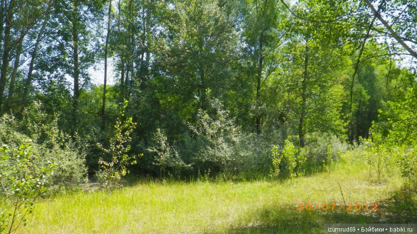 Родная природа. Волго-Ахтубинская пойма. Часть 2