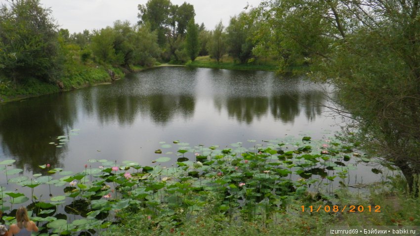 Родная природа. Волго-Ахтубинская пойма. Часть 2