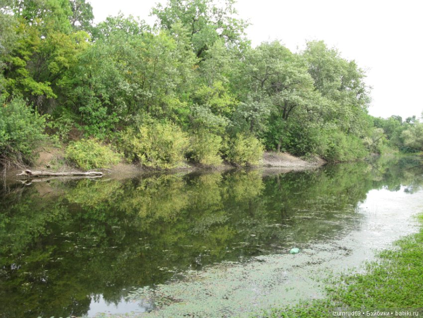 Родная природа. Волго-Ахтубинская пойма. Часть 2