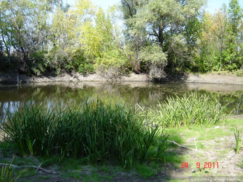 Родная природа. Волго-Ахтубинская пойма. Часть 2 (фото 7)