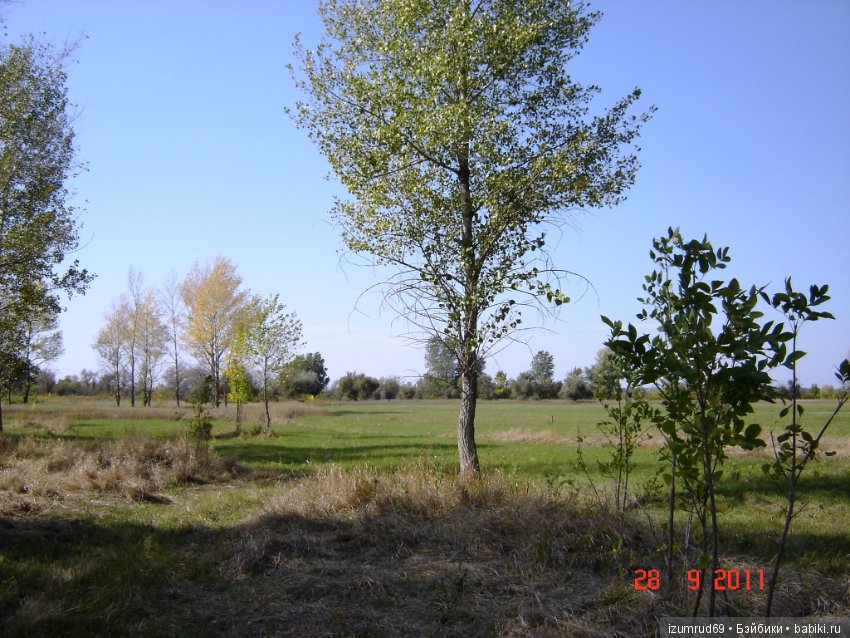 Родная природа. Волго-Ахтубинская пойма. Часть 2