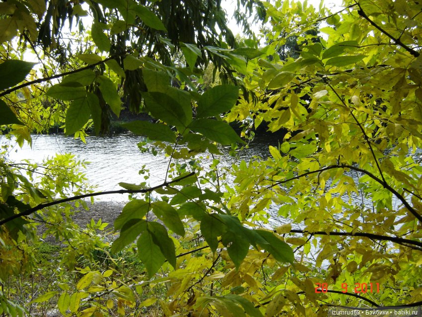 Родная природа. Волго-Ахтубинская пойма. Часть 2