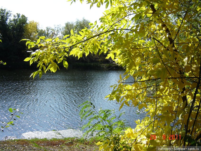 Родная природа. Волго-Ахтубинская пойма. Часть 2