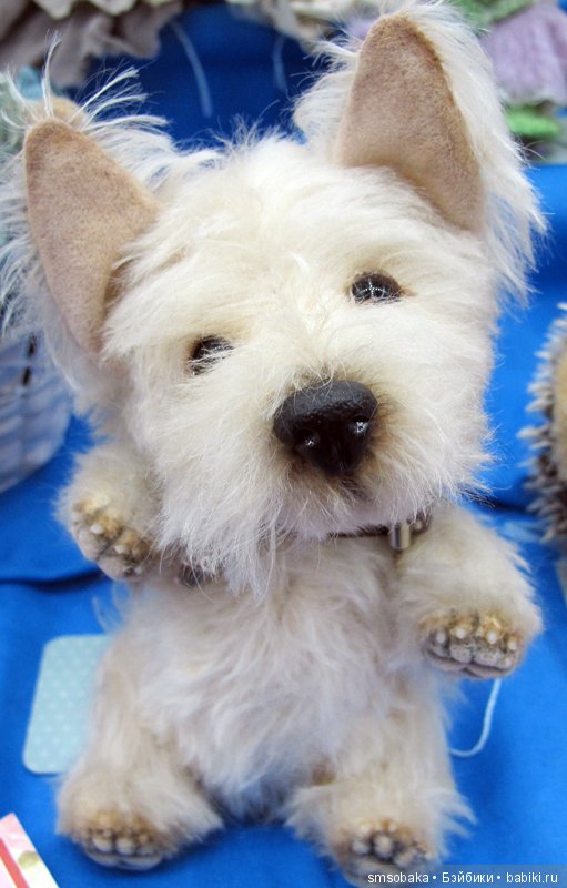 Тишинка - осень 2016. Часть 3